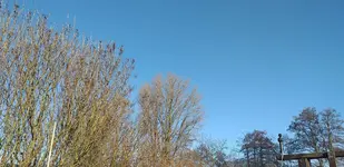 20210110_132757.webp