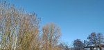 20210110_132757.jpg