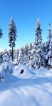 IMG-20210110-WA0012.jpg