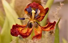 2021blmn03.webp 2021blmn03.webp