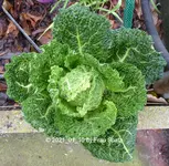 Forum Wirsing 2021_01_10 P1160390.webp