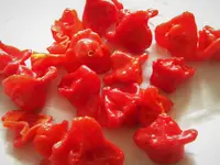 DSCN9927.webp