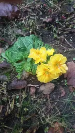 20210111_125315.webp