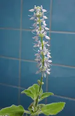 2021blm04.webp 2021blm04.webp