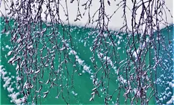 2021wntr02.webp 2021wntr02.webp