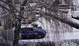 2021wntr01.webp 2021wntr01.webp