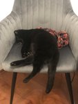 IMG_3827.jpeg