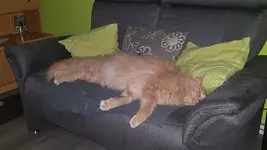 20210106_231215.webp