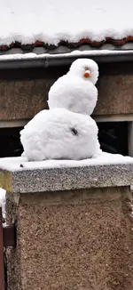 IMG_20210104_091837.webp IMG_20210104_091837.webp