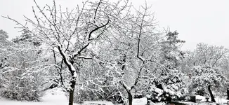 IMG_20210104_092006.webp IMG_20210104_092006.webp