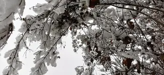 IMG_20210104_100047.webp IMG_20210104_100047.webp