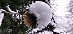 IMG_20210104_100338.jpg