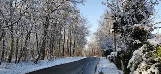 IMG_20210110_113339.webp IMG_20210110_113339.webp