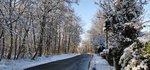 IMG_20210110_113339.jpg