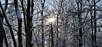 IMG_20210110_113447.webp IMG_20210110_113447.webp