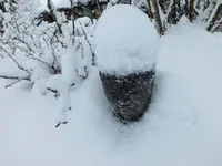 DSCF4515 (2).webp DSCF4515 (2).webp