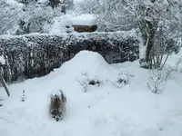 DSCF4520 (2).webp DSCF4520 (2).webp