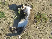IMG_9662 v (2).webp