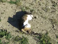 IMG_9663 v (2).webp