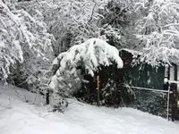 1498C00B-C1C2-4ED0-9B10-CB53C4F6F962.webp 1498C00B-C1C2-4ED0-9B10-CB53C4F6F962.webp