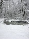C377D823-8AEA-42CE-B435-3B3E14DC77C0.jpeg