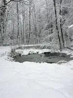 C377D823-8AEA-42CE-B435-3B3E14DC77C0.webp C377D823-8AEA-42CE-B435-3B3E14DC77C0.webp