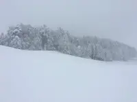 9EBAF70F-56D3-45E9-89B9-3B2CB04451FF.webp 9EBAF70F-56D3-45E9-89B9-3B2CB04451FF.webp