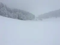 284E535E-1DF7-4788-A8A6-A0F0AF26E241.webp 284E535E-1DF7-4788-A8A6-A0F0AF26E241.webp