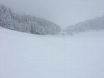 284E535E-1DF7-4788-A8A6-A0F0AF26E241.jpeg