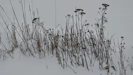 IMG_20180221_081956241.webp IMG_20180221_081956241.webp