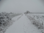 DSC02978.png