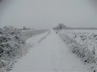 DSC02978.webp DSC02978.webp