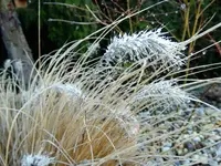 DSC04166.webp DSC04166.webp