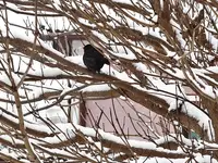 DSC04288.webp DSC04288.webp