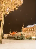 1610729480665.webp