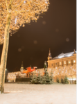 1610729480665.png