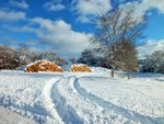 DSCF4522 (2).JPG