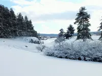 DSCF4528 (2).webp DSCF4528 (2).webp