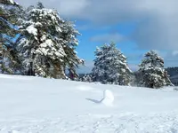 DSCF4532 (2).webp DSCF4532 (2).webp