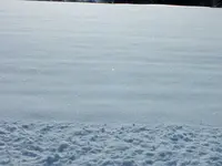 DSCF4533 (2).webp DSCF4533 (2).webp