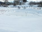 DSCF4534 (2).JPG