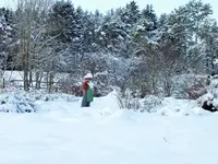 DSCF4536 (2).webp DSCF4536 (2).webp