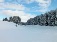 DSCF4539 (2).webp DSCF4539 (2).webp