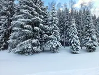 DSCF4540 (2).webp DSCF4540 (2).webp