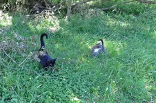 IMG_7931 v (2).webp