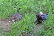 IMG_8068 v (2).webp