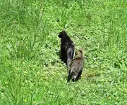 IMG_7949 v (2).webp