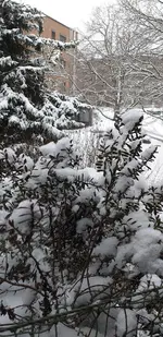 20210117_094044.webp