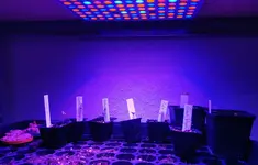 IMG_20210118_181437.webp IMG_20210118_181437.webp