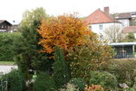 Nov.  1820.JPG